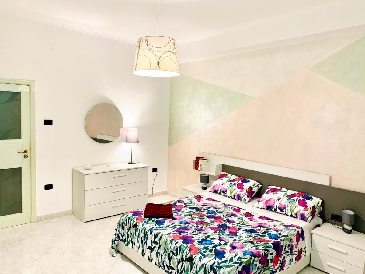 Ariadimare مولفيتا المظهر الخارجي الصورة