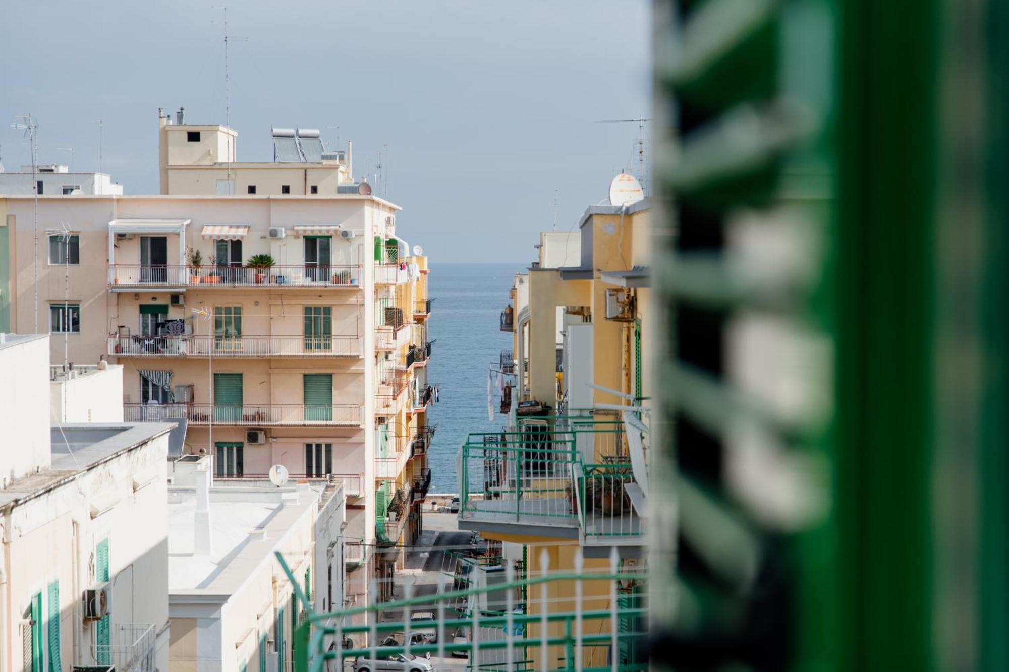 Ariadimare مولفيتا المظهر الخارجي الصورة